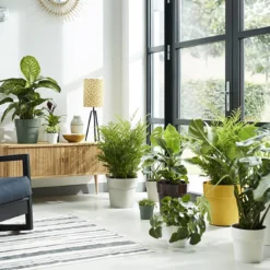 Bloempot Elho B.for Original Rond 25cm - Warm Grijs -Bloeiplek Verkoopwinkel bfor original rond 25cm bloempot warm grijs 7 17