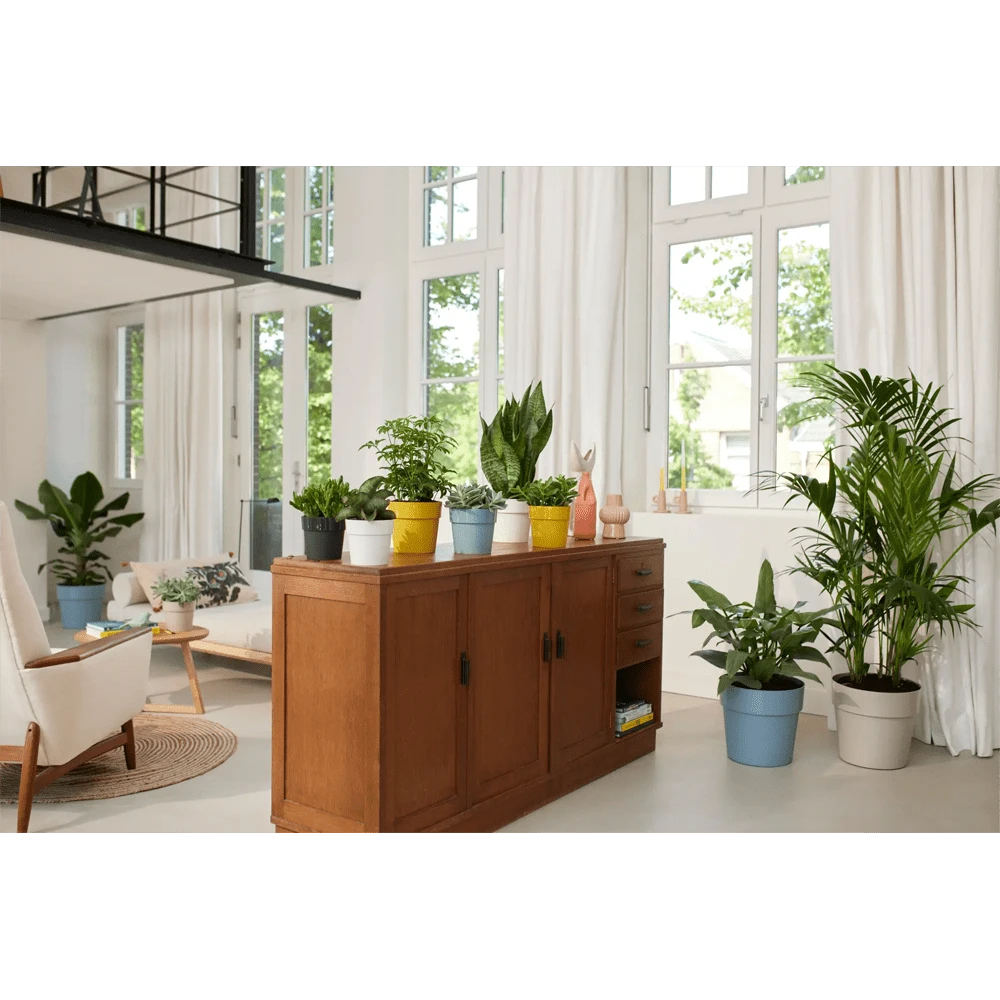 Bloempot Elho B.for Original Rond 30cm -Duifblauw 4 Bloempot Elho B.for Original Rond 30cm -Duifblauw - Afbeelding 4