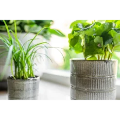 Bloempot Denise - D19 X H19cm - Off White -Bloeiplek Verkoopwinkel bloempot denise d19 x h19cm off white bloempot 3