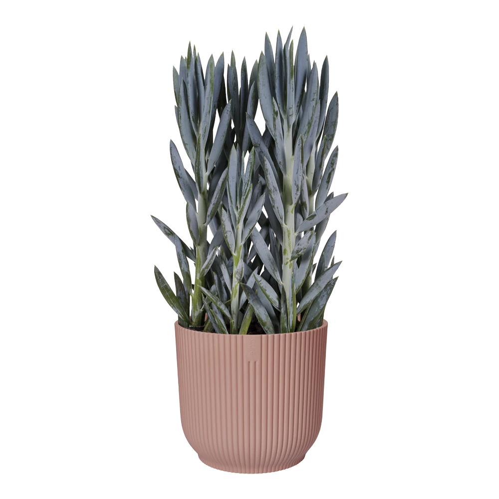 Bloempot Elho Vibes Fold Rond Wielen - D35 X H32cm - Delicaat Roze 3 Bloempot Elho Vibes Fold Rond Wielen - D35 X H32cm - Delicaat Roze - Afbeelding 3