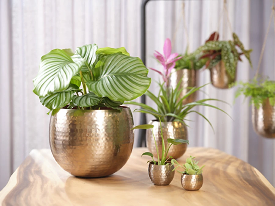 Bloempot Kody - D30 X H25cm - Rosu00e9 Goud 2 Bloempot Kody - D30 X H25cm - Rosu00e9 Goud - Afbeelding 2