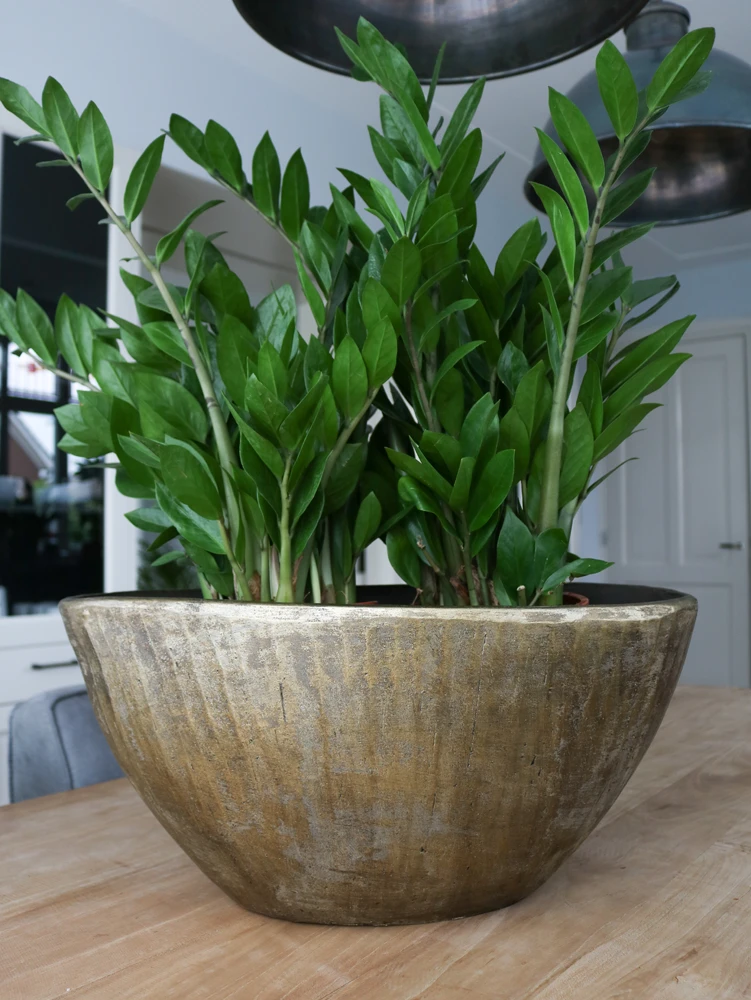 Bloempot Kos Ovaal - L41 X B19 X H22cm - Goud 2 Bloempot Kos Ovaal - L41 X B19 X H22cm - Goud - Afbeelding 2