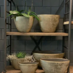 Bloempot Kos Ovaal - L33 X B14 X H27cm - Goud 5 Bloempot Kos Ovaal - L33 X B14 X H27cm - Goud -Bloeiplek Verkoopwinkel bloempot kos serie ovaal goud bloempot 3 1 2