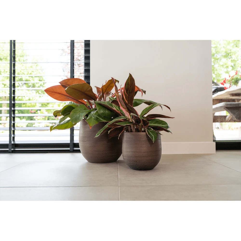 Bloempot Lydia - D26 X H26cm - Shiny Purple 2 Bloempot Lydia - D26 X H26cm - Shiny Purple - Afbeelding 2