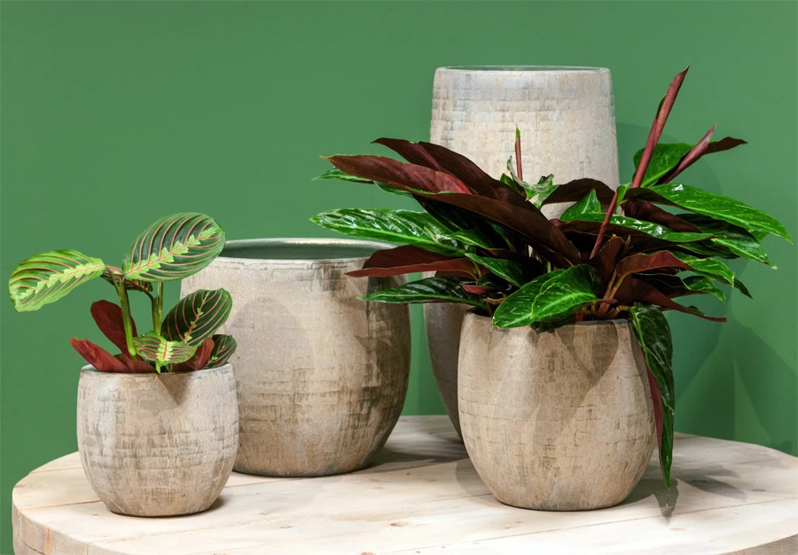 Bloempot Steef - D39 X H36cm - Creme Groen 2 Bloempot Steef - D39 X H36cm - Creme Groen - Afbeelding 2