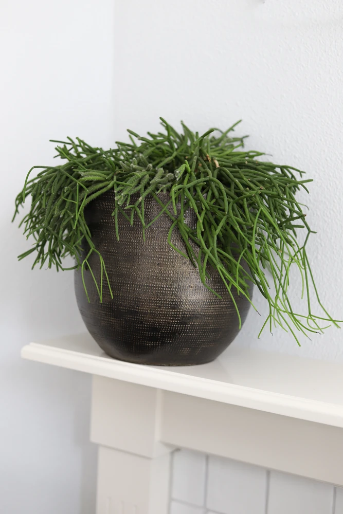 Bloempot Tokio - D32 X H30cm - Goud 2 Bloempot Tokio - D32 X H30cm - Goud - Afbeelding 2