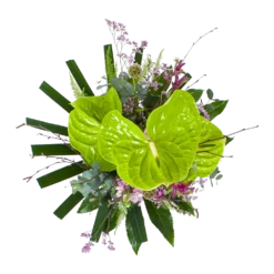 Bloeiplek Verkoopwinkel -Bloeiplek Verkoopwinkel boeket anthurium boeketten 2 1