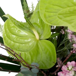 Boeket Anthurium Klein -Bloeiplek Verkoopwinkel boeket anthurium boeketten 4