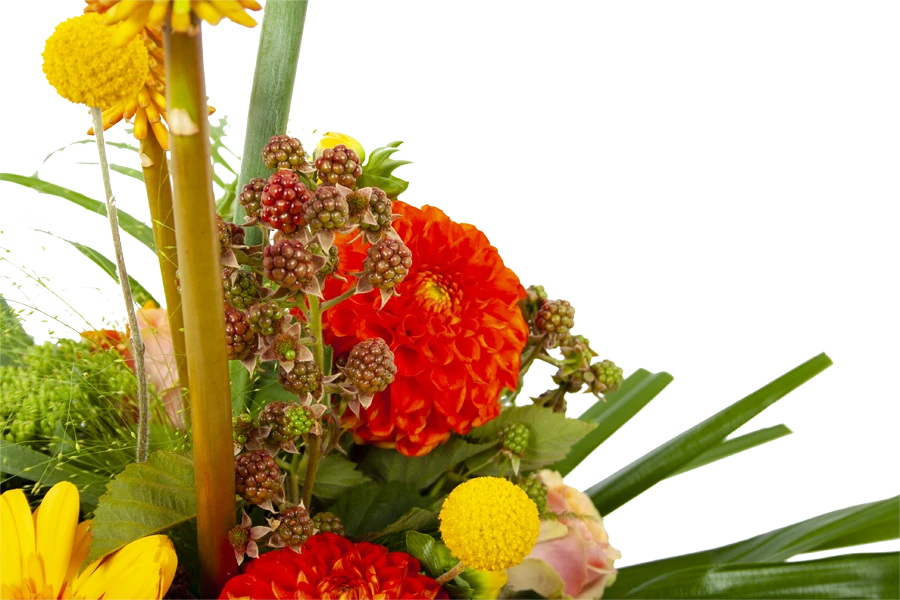 Boeket Beatrix Klein 3 Boeket Beatrix Klein - Afbeelding 3