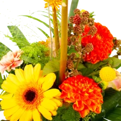 Boeket Beatrix Groot -Bloeiplek Verkoopwinkel boeket beatrix boeketten 4 3 1