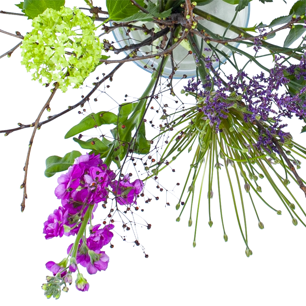 Boeket Biezen Groot 2 Boeket Biezen Groot - Afbeelding 2