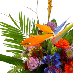 Boeket Deluxe Special Voor Jou Middel 7 Boeket Deluxe Special Voor Jou Middel -Bloeiplek Verkoopwinkel boeket deluxe special voor jou boeketten 3 1