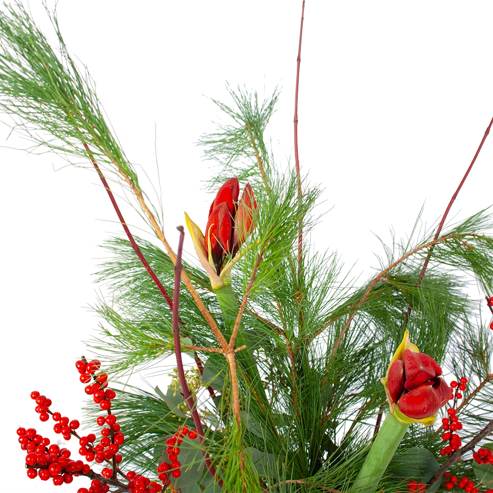 Boeket Deluxe Winter Middel 3 Boeket Deluxe Winter Middel - Afbeelding 3