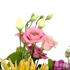 Boeket Eline Klein 9 Boeket Eline Klein -Bloeiplek Verkoopwinkel boeket eline boeketten 4