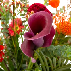 Boeket Herfst Warmte Klein 9 Boeket Herfst Warmte Klein -Bloeiplek Verkoopwinkel boeket herfst warmte klein boeketten 4