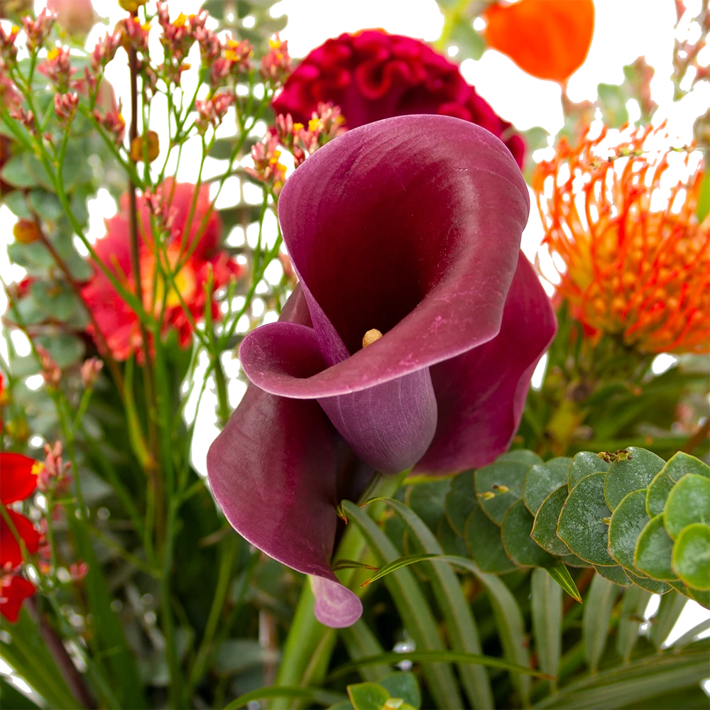 Boeket Herfst Warmte Klein 4 Boeket Herfst Warmte Klein - Afbeelding 4