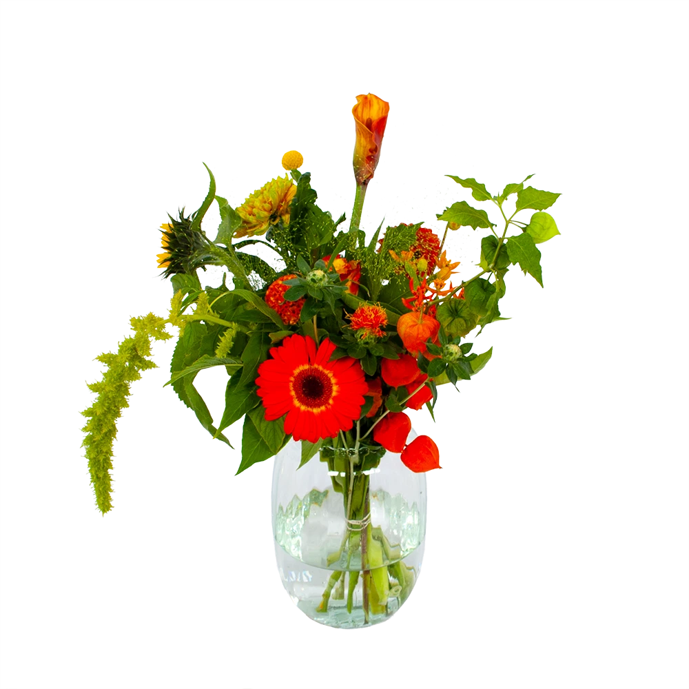 Boeket Herfst Uit Het Veld Middel 1 Boeket Herfst Uit Het Veld Middel