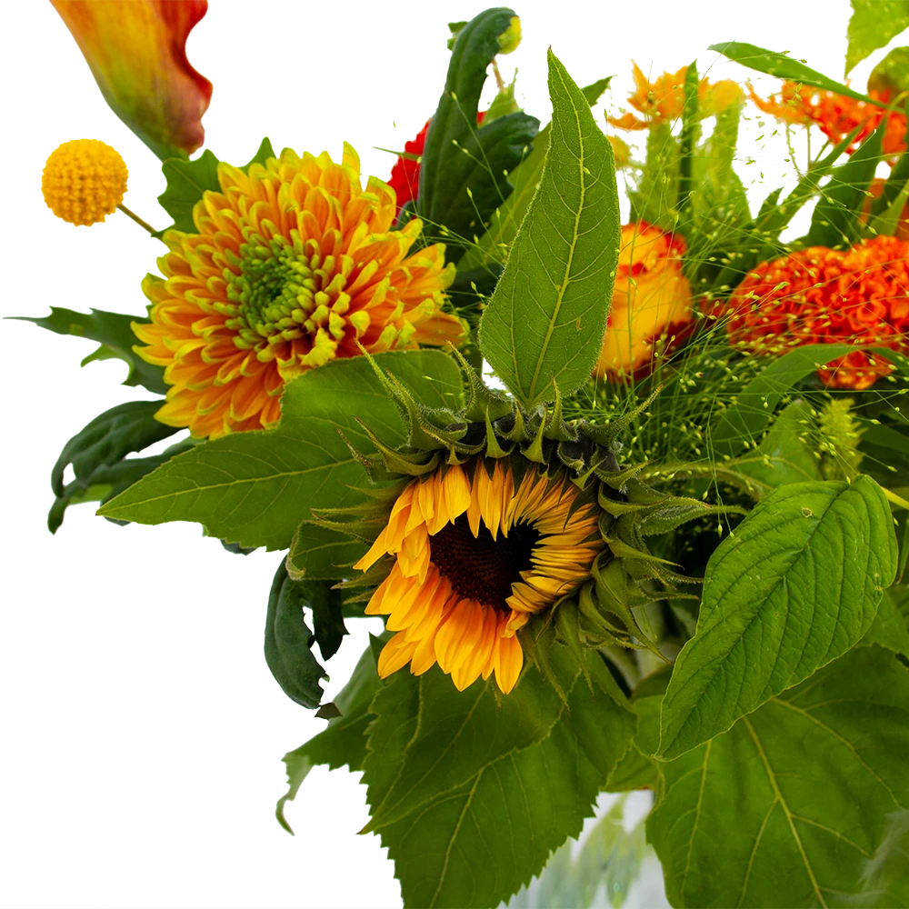 Boeket Herfst Uit Het Veld Middel 4 Boeket Herfst Uit Het Veld Middel - Afbeelding 4