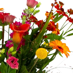 Boeket Hippe Herfst Groot 9 Boeket Hippe Herfst Groot -Bloeiplek Verkoopwinkel boeket hippe herfst groot boeketten 4 1