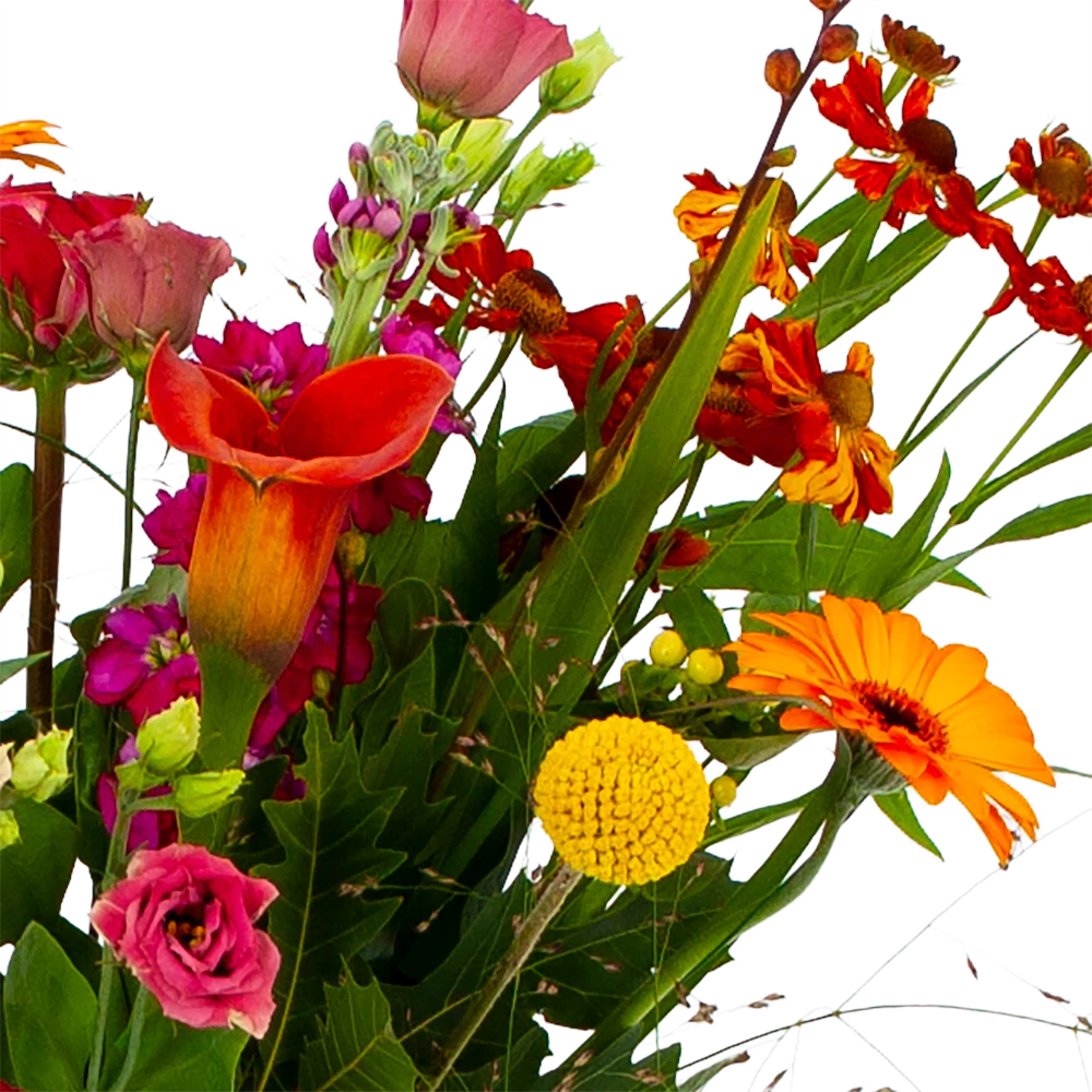 Boeket Hippe Herfst Groot 4 Boeket Hippe Herfst Groot - Afbeelding 4