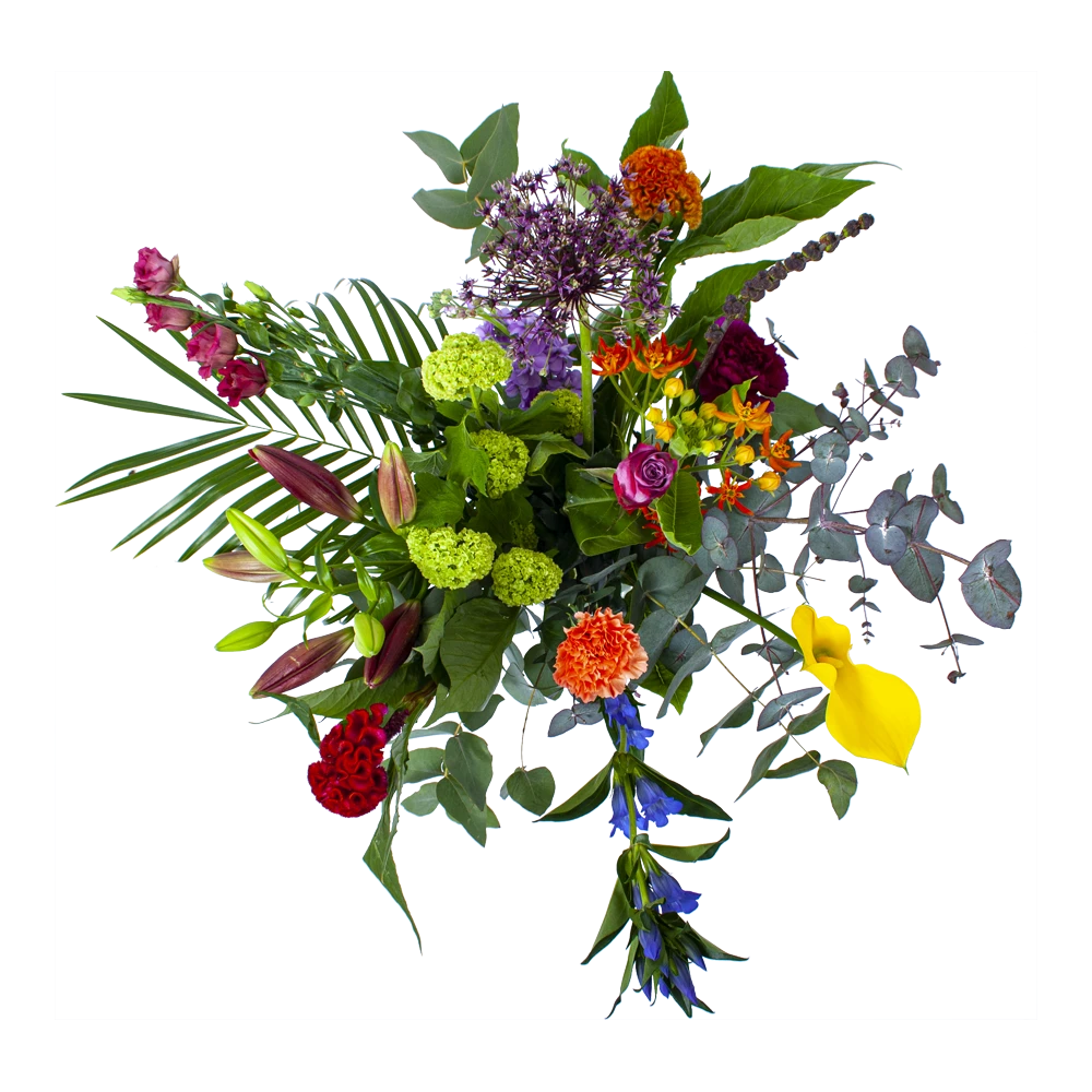 Boeket Judith Groot 2 Boeket Judith Groot - Afbeelding 2