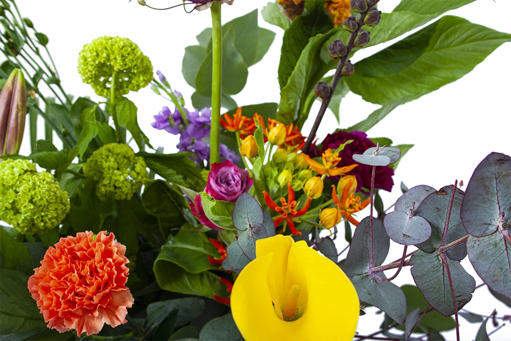 Boeket Judith Groot 3 Boeket Judith Groot - Afbeelding 3