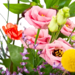 Boeket Kleurrijk Geplukt Middel 7 Boeket Kleurrijk Geplukt Middel -Bloeiplek Verkoopwinkel boeket kleurrijk geplukt boeketten 3 1