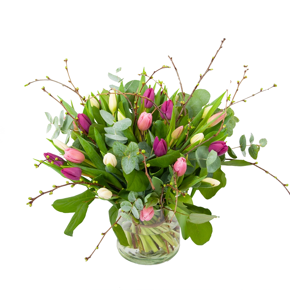 Boeket Kleurrijke Tulp Middel 1 Boeket Kleurrijke Tulp Middel