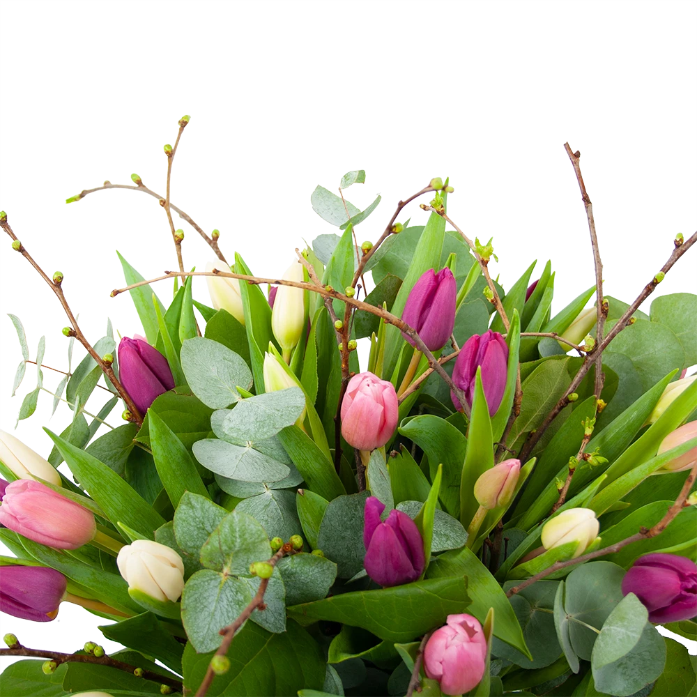 Boeket Kleurrijke Tulp Middel 2 Boeket Kleurrijke Tulp Middel - Afbeelding 2