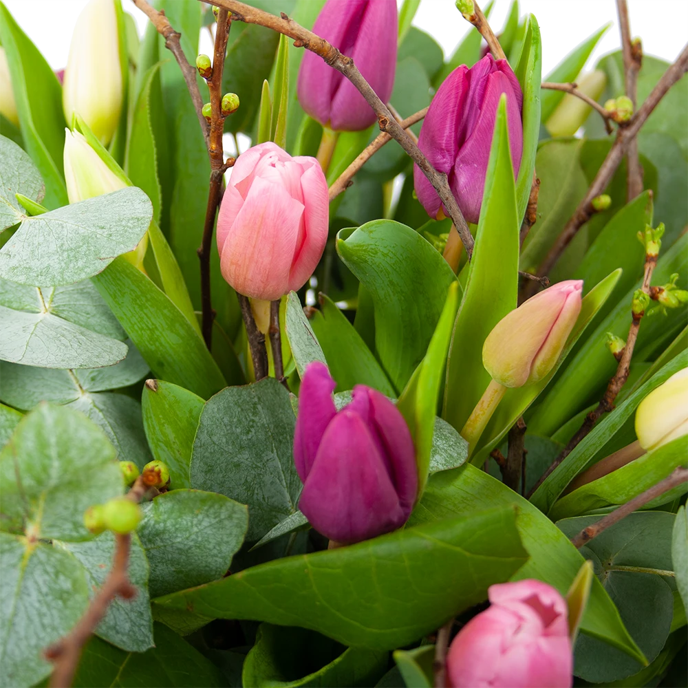Boeket Kleurrijke Tulp Middel 3 Boeket Kleurrijke Tulp Middel - Afbeelding 3