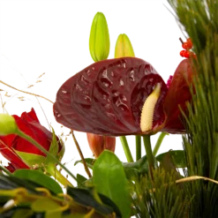 Boeket Liefdevolle Kerst Middel -Bloeiplek Verkoopwinkel boeket liefdevolle kerst boeketten 4 1 1