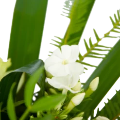 Boeket Liefdevolle Winter Klein -Bloeiplek Verkoopwinkel boeket liefdevolle winter boeketten 3 1