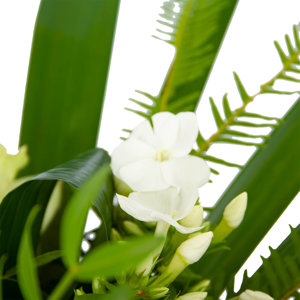 Boeket Liefdevolle Winter Groot 3 Boeket Liefdevolle Winter Groot - Afbeelding 3