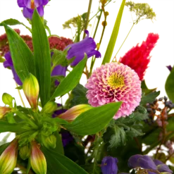 Boeket Paarse Passie Middel 9 Boeket Paarse Passie Middel -Bloeiplek Verkoopwinkel boeket paarse passie middel boeketten 4