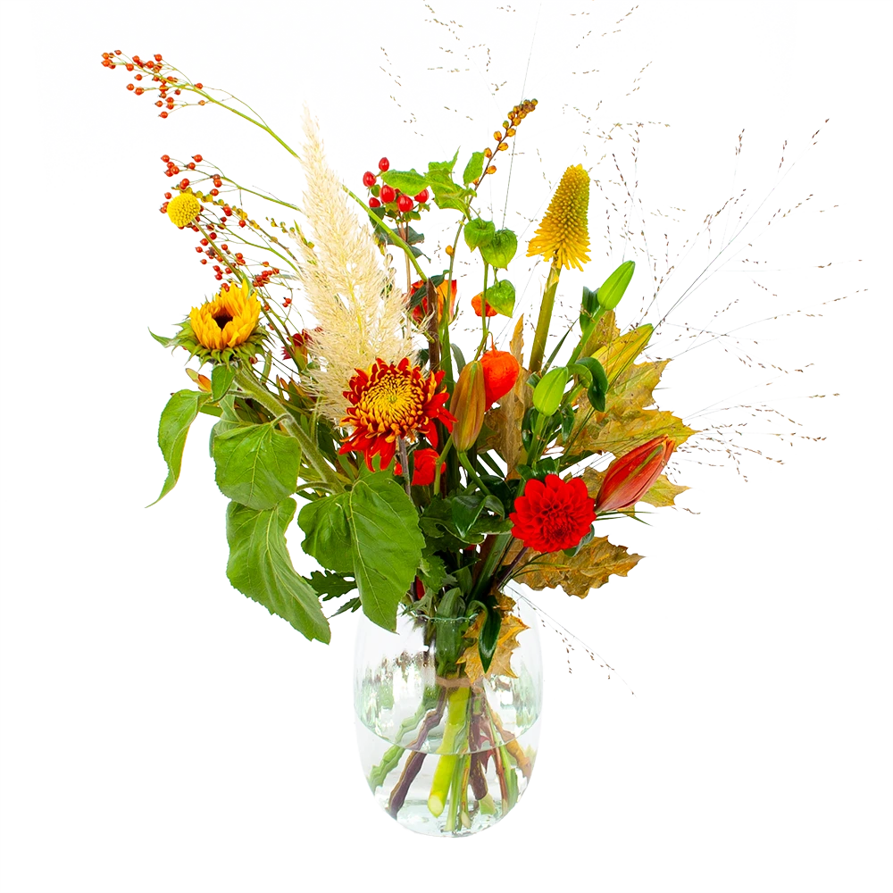 Boeket Pluim Van Het Najaar Klein 1 Boeket Pluim Van Het Najaar Klein