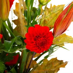 Boeket Pluim Van Het Najaar Klein 8 Boeket Pluim Van Het Najaar Klein -Bloeiplek Verkoopwinkel boeket pluim van het najaar klein boeketten 3