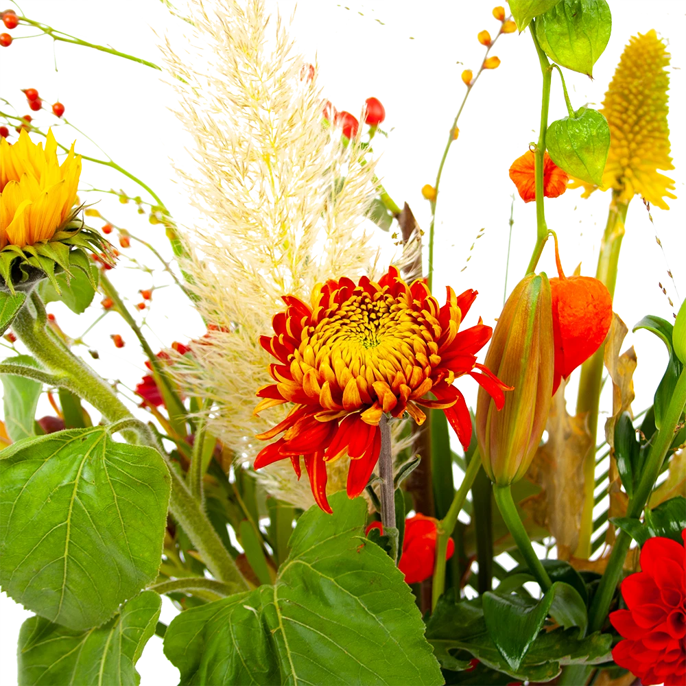 Boeket Pluim Van Het Najaar Klein 4 Boeket Pluim Van Het Najaar Klein - Afbeelding 4