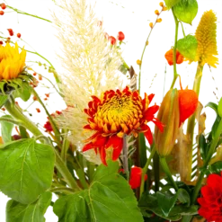 Boeket Pluim Van Het Najaar Middel -Bloeiplek Verkoopwinkel boeket pluim van het najaar middel boeketten 4