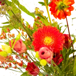 Boeket Plukgeluk Groot -Bloeiplek Verkoopwinkel boeket plukgeluk groot boeketten 3