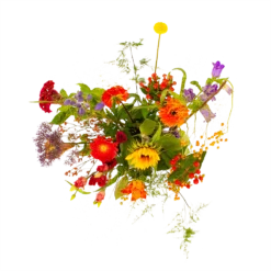 Bloeiplek Verkoopwinkel -Bloeiplek Verkoopwinkel boeket plukgeluk klein boeketten 2