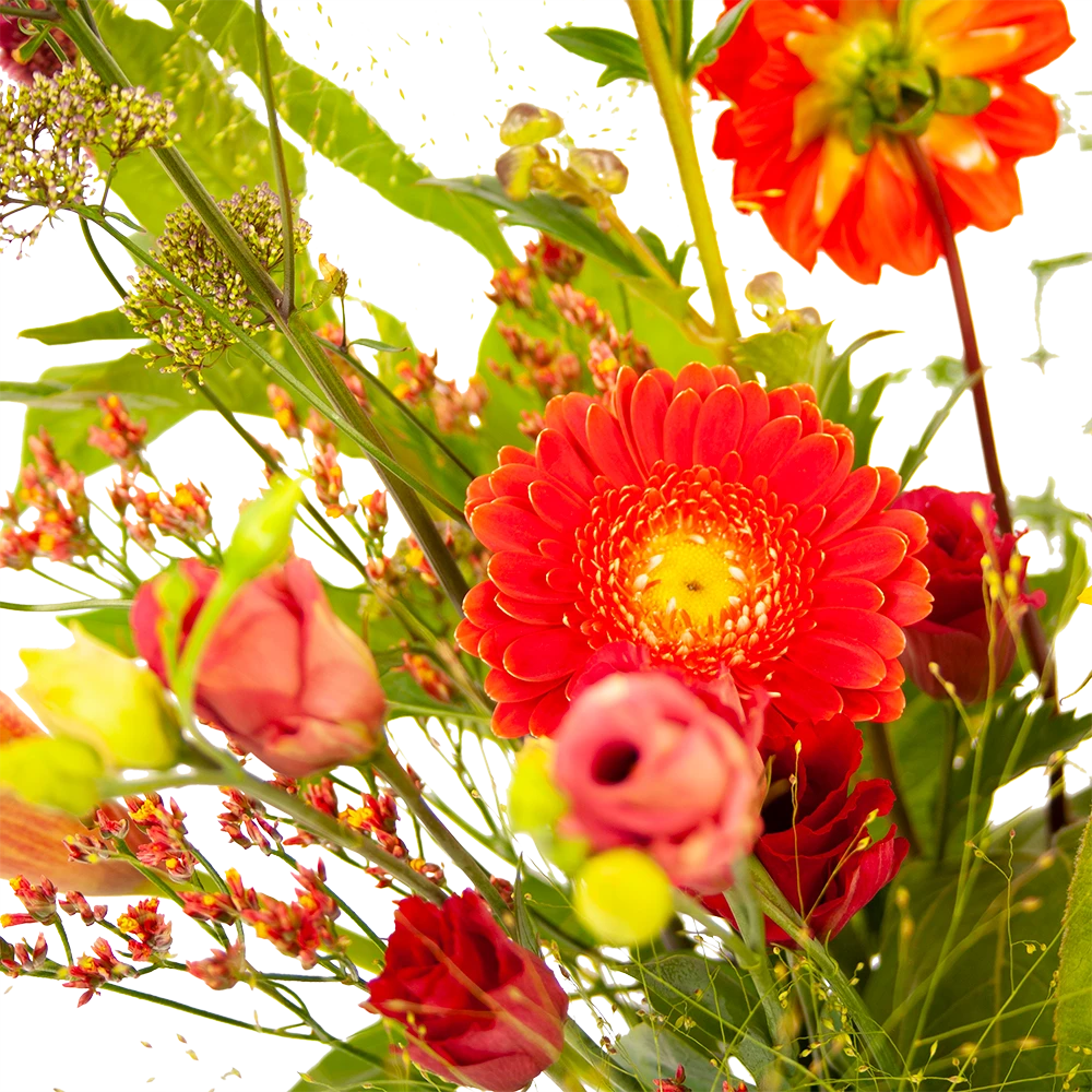 Boeket Plukgeluk Middel 3 Boeket Plukgeluk Middel - Afbeelding 3