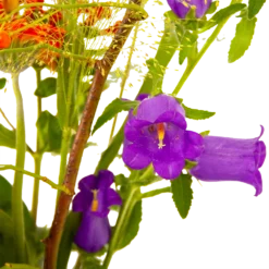 Boeket Plukgeluk Middel 9 Boeket Plukgeluk Middel -Bloeiplek Verkoopwinkel boeket plukgeluk middel boeketten 4