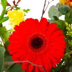 Boeket Speciale Verrassing Groot -Bloeiplek Verkoopwinkel boeket speciale verrassing boeketten 3 2