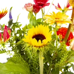 Boeket Vlinder Klein 8 Boeket Vlinder Klein -Bloeiplek Verkoopwinkel boeket vlinder boeketten 3 3