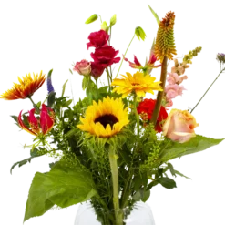 Boeket Vlinder Groot -Bloeiplek Verkoopwinkel boeket vlinder boeketten 4 3 2