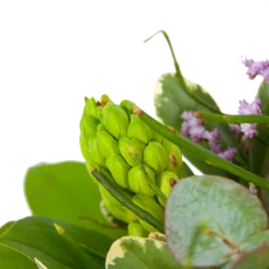 Boeket Vrolijk Seizoen Middel 7 Boeket Vrolijk Seizoen Middel -Bloeiplek Verkoopwinkel boeket vrolijk seizoen boeketten 3 1