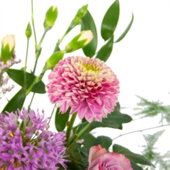 Boeket Vrolijke Verrassing Middel -Bloeiplek Verkoopwinkel boeket vrolijke verrassing boeketten 3 1