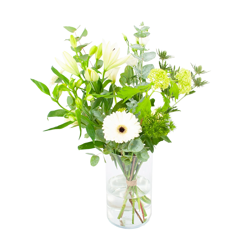 Boeket Wit Gebaar Groot 1 Boeket Wit Gebaar Groot