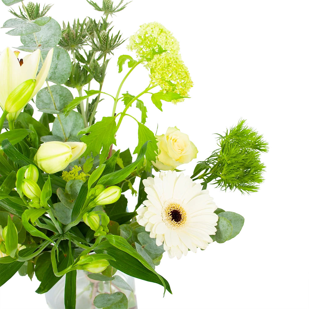 Boeket Wit Gebaar Groot 2 Boeket Wit Gebaar Groot - Afbeelding 2