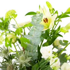 Boeket Wit Gebaar Groot 7 Boeket Wit Gebaar Groot -Bloeiplek Verkoopwinkel boeket wit gebaar boeketten 3 1